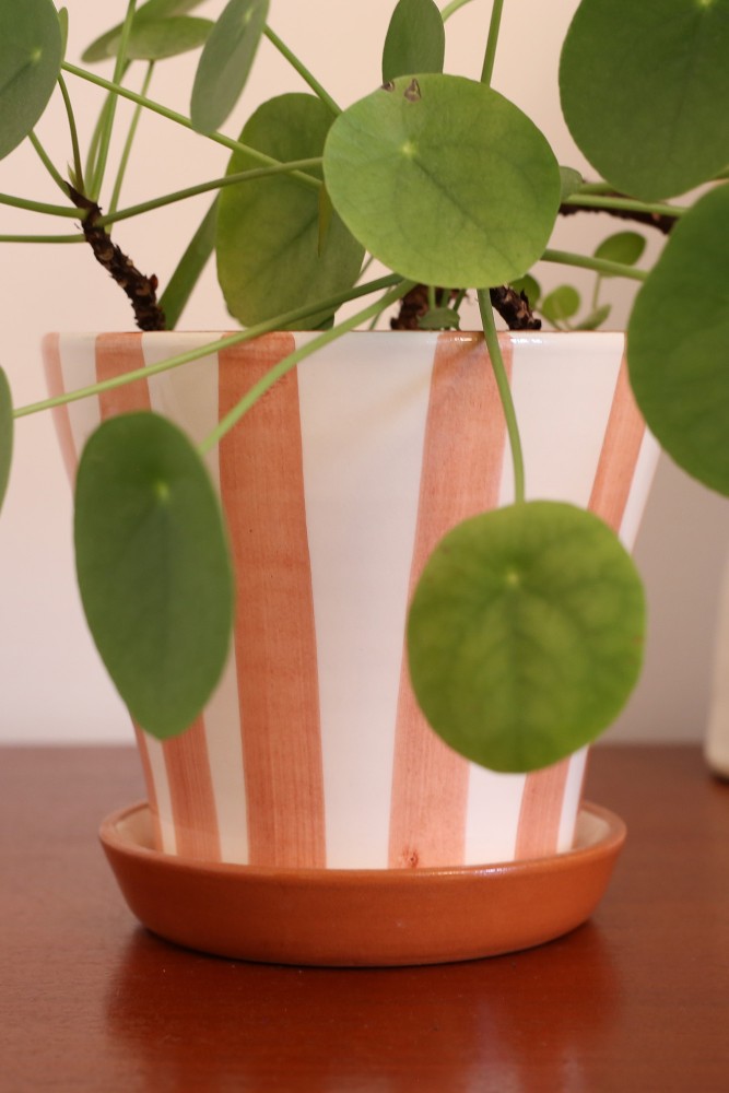 Vaso per piante in terracotta e bianco in ceramica realizzato artigianalmente in Portogallo.