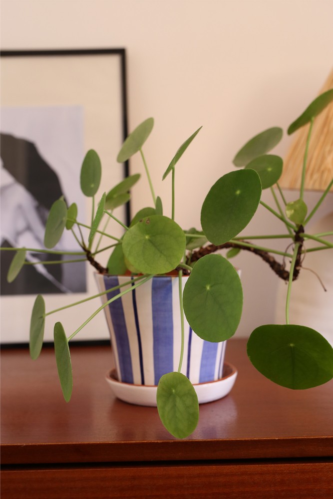 Blue and white ceramic flower pot handmade in Portugal.