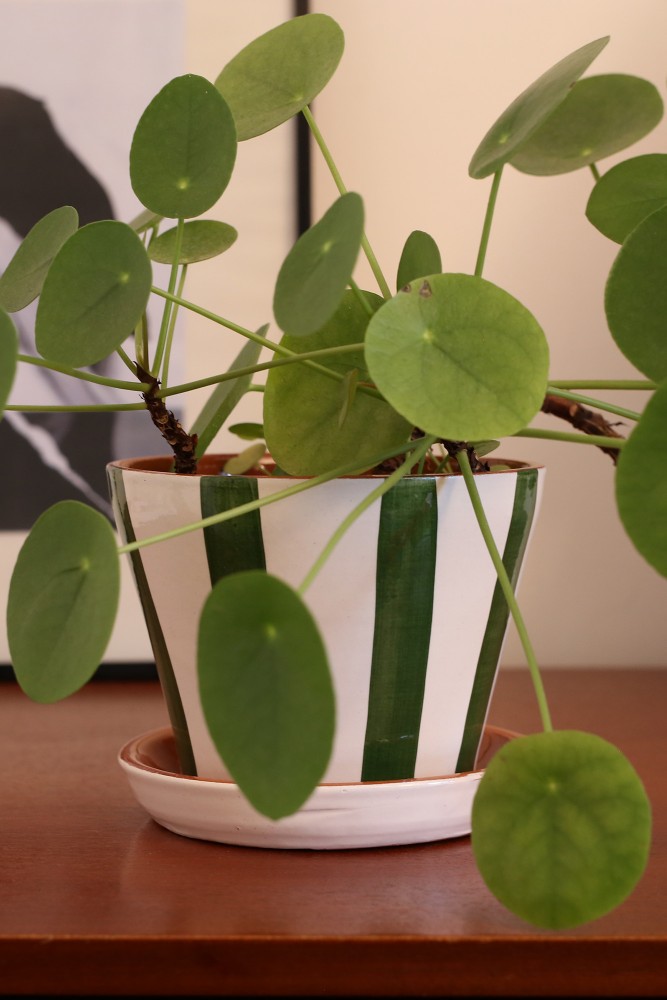 Kleine groen en wit keramieken bloempot, ambachtelijk vervaardigd in Portugal.